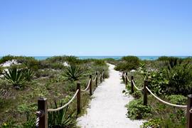 Beach Path