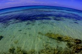 Tortugas Seascape