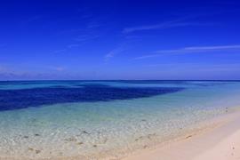 Tropical Waters 2